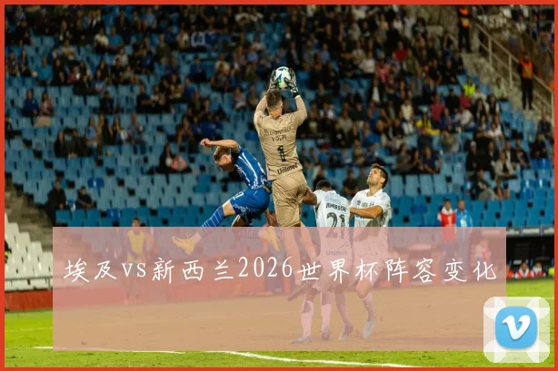 埃及vs新西兰2026世界杯阵容变化