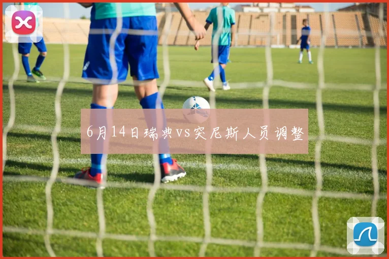 6月14日瑞典vs突尼斯人员调整