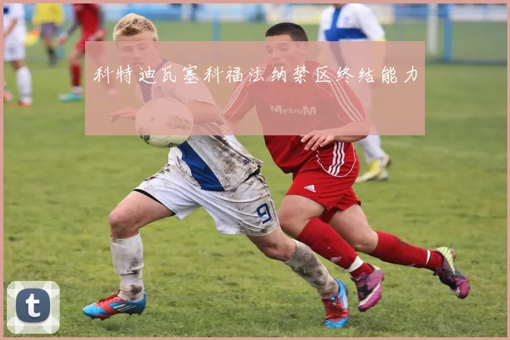 科特迪瓦塞科福法纳禁区终结能力