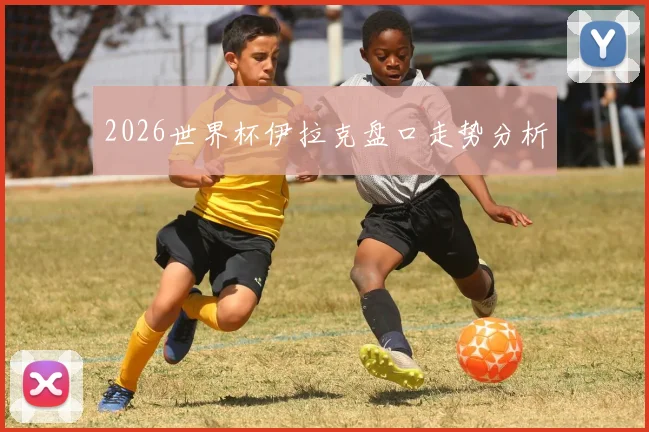 2026世界杯伊拉克盘口走势分析