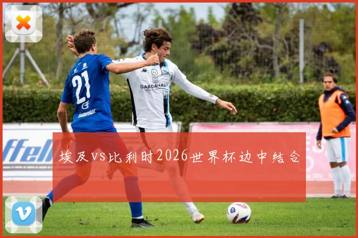 埃及vs比利时2026世界杯边中结合