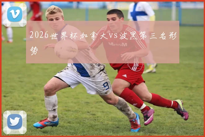 2026世界杯加拿大vs波黑第三名形势