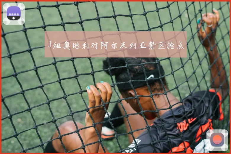 J组奥地利对阿尔及利亚禁区抢点