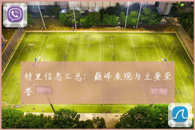 特里信息汇总:巅峰表现与主要荣誉