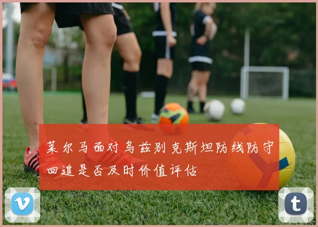莱尔马面对乌兹别克斯坦防线防守回追是否及时价值评估
