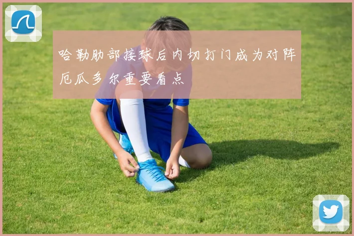 哈勒肋部接球后内切打门成为对阵厄瓜多尔重要看点