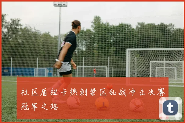 社区盾纽卡热刺禁区乱战冲击决赛冠军之路